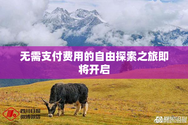 无需支付费用的自由探索之旅即将开启