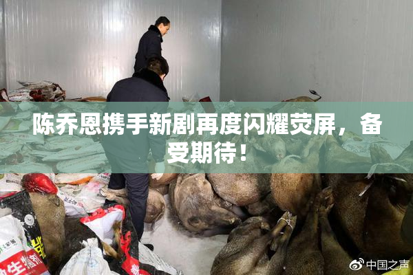 陈乔恩携手新剧再度闪耀荧屏，备受期待！