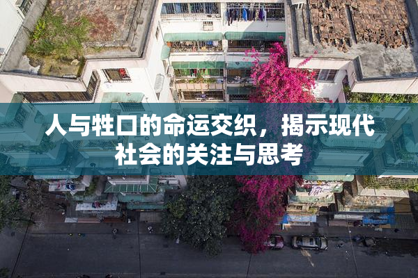 人与牲口的命运交织，揭示现代社会的关注与思考