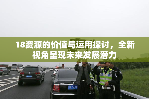 18资源的价值与运用探讨，全新视角呈现未来发展潜力