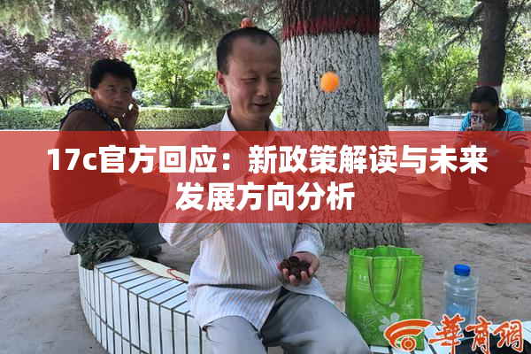 17c官方回应：新政策解读与未来发展方向分析