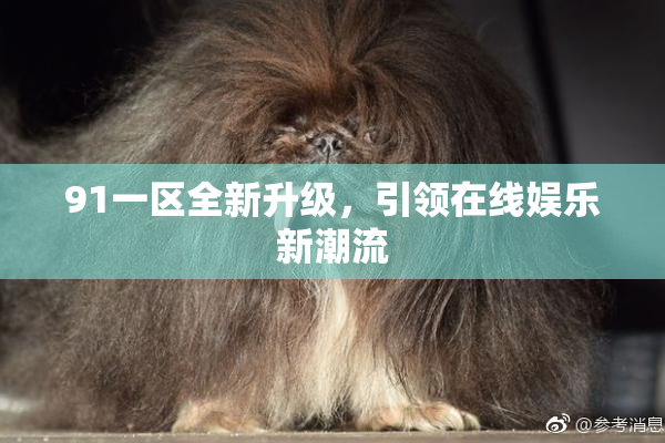 91一区全新升级，引领在线娱乐新潮流