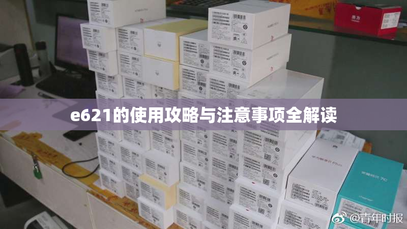 e621的使用攻略与注意事项全解读