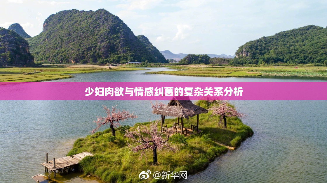 少妇肉欲与情感纠葛的复杂关系分析