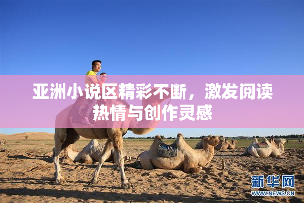 亚洲小说区精彩不断，激发阅读热情与创作灵感