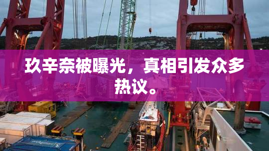 玖辛奈被曝光，真相引发众多热议。