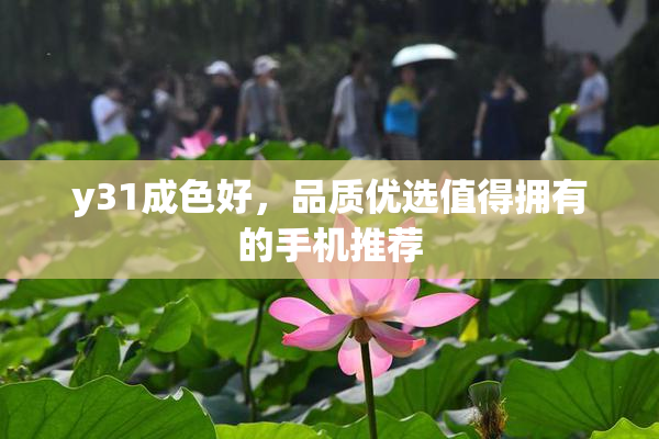 y31成色好，品质优选值得拥有的手机推荐