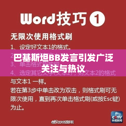 巴基斯坦BB发言引发广泛关注与热议