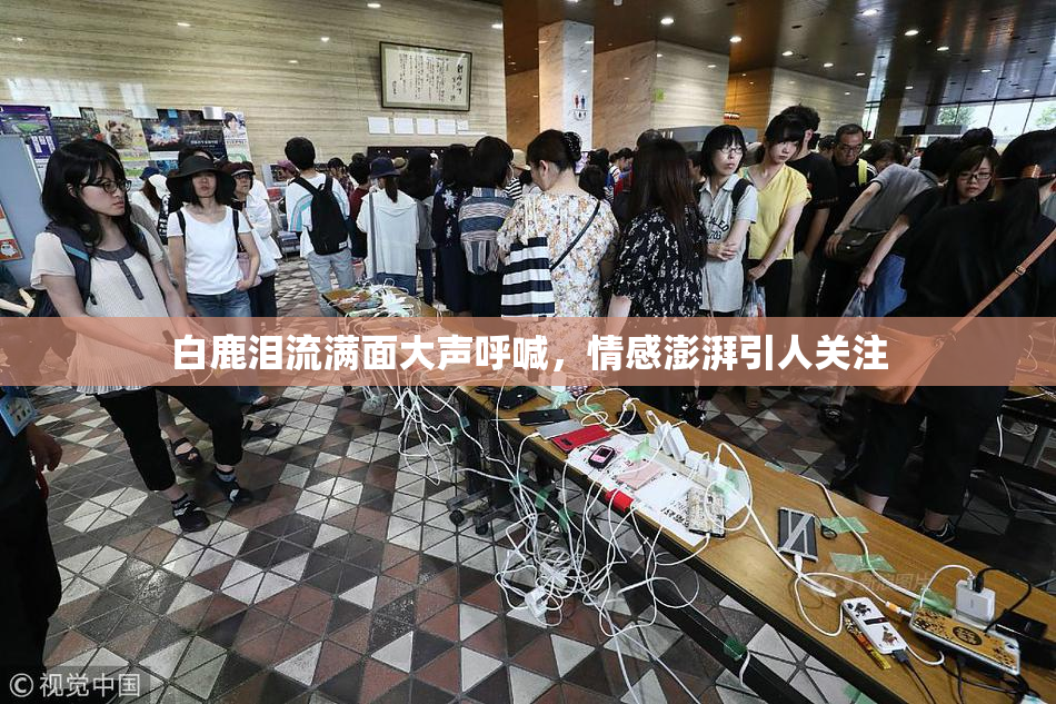 白鹿泪流满面大声呼喊，情感澎湃引人关注