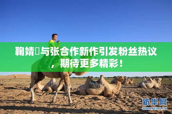 鞠婧祎与张合作新作引发粉丝热议，期待更多精彩！