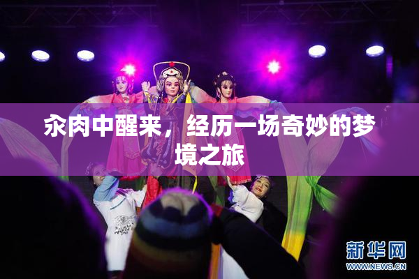 汆肉中醒来，经历一场奇妙的梦境之旅