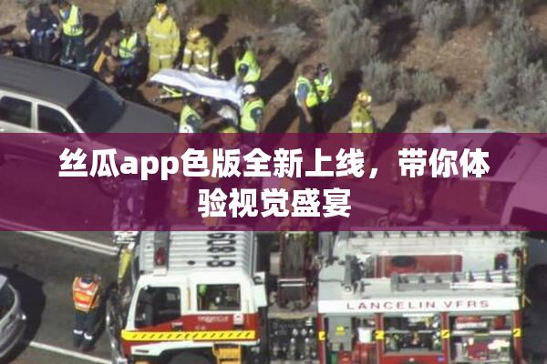 丝瓜app色版全新上线，带你体验视觉盛宴