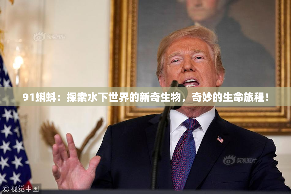 91蝌蚪：探索水下世界的新奇生物，奇妙的生命旅程！