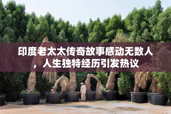 印度老太太传奇故事感动无数人，人生独特经历引发热议