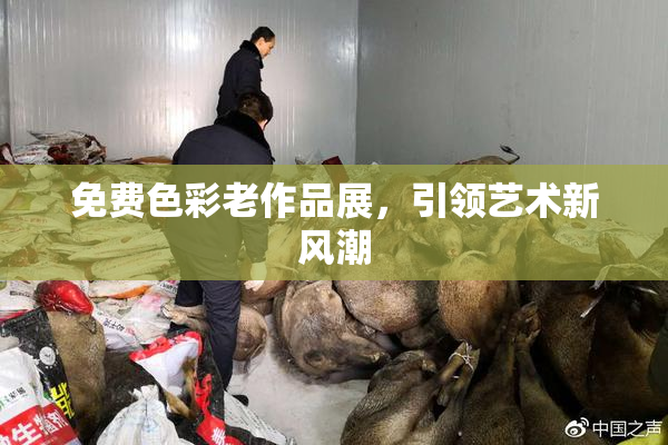 免费色彩老作品展，引领艺术新风潮