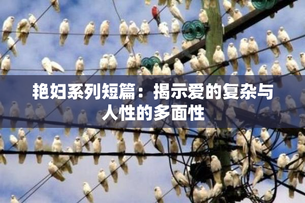 艳妇系列短篇：揭示爱的复杂与人性的多面性