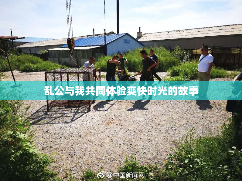 乱公与我共同体验爽快时光的故事