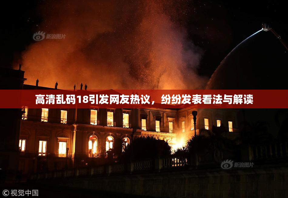 高清乱码18引发网友热议，纷纷发表看法与解读