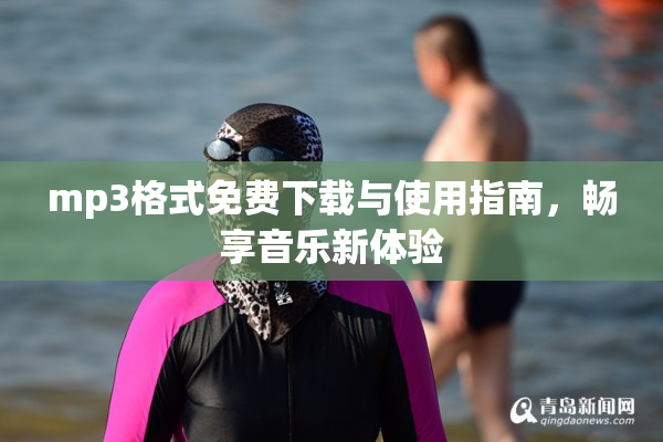 mp3格式免费下载与使用指南，畅享音乐新体验