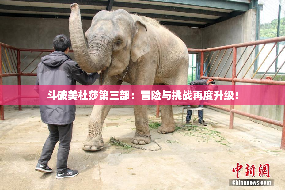 斗破美杜莎第三部：冒险与挑战再度升级！