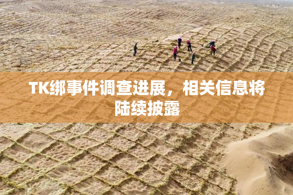 TK绑事件调查进展，相关信息将陆续披露