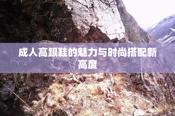 成人高跟鞋的魅力与时尚搭配新高度