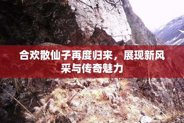合欢散仙子再度归来，展现新风采与传奇魅力