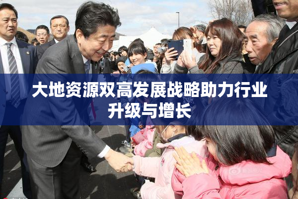大地资源双高发展战略助力行业升级与增长