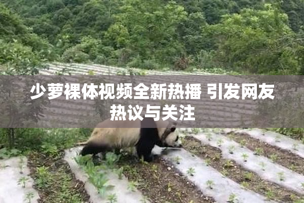 少萝裸体视频全新热播 引发网友热议与关注