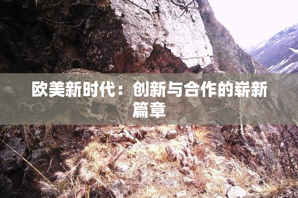 欧美新时代：创新与合作的崭新篇章
