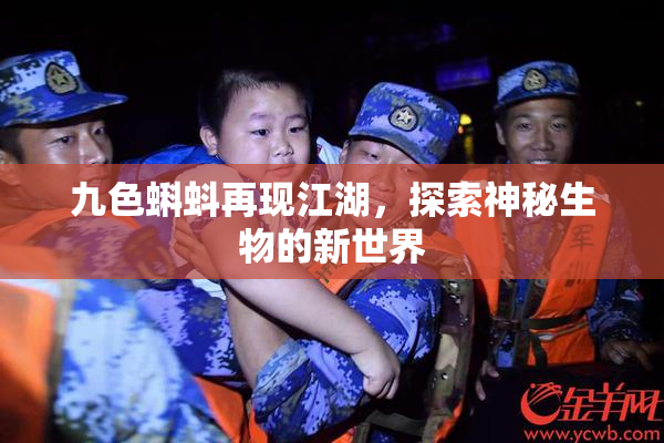 九色蝌蚪再现江湖，探索神秘生物的新世界
