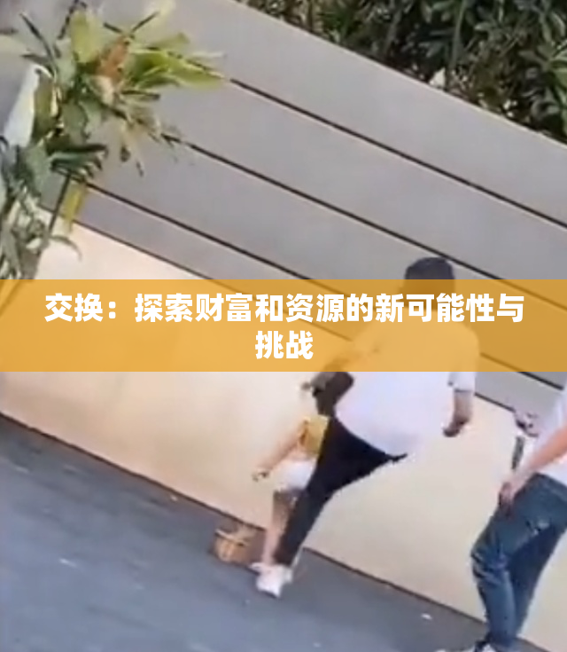 交换：探索财富和资源的新可能性与挑战