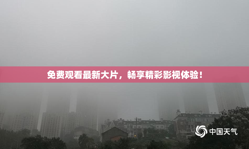 免费观看最新大片，畅享精彩影视体验！