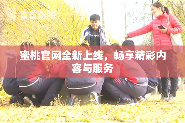 蜜桃官网全新上线，畅享精彩内容与服务