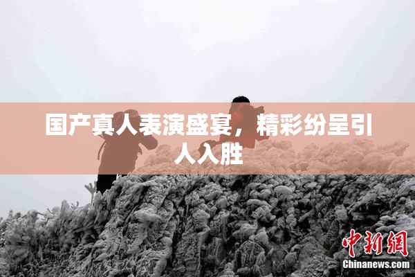 国产真人表演盛宴，精彩纷呈引人入胜