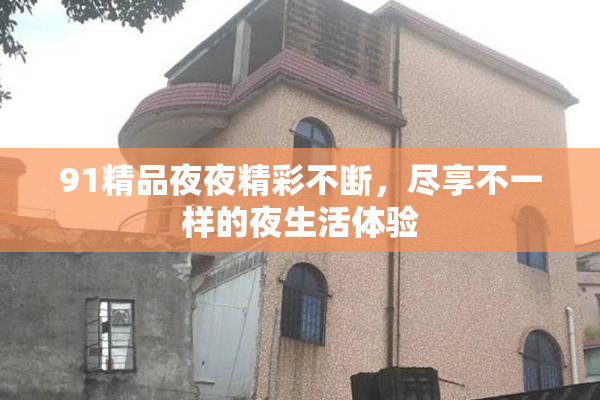 91精品夜夜精彩不断，尽享不一样的夜生活体验