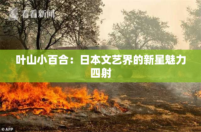 叶山小百合：日本文艺界的新星魅力四射