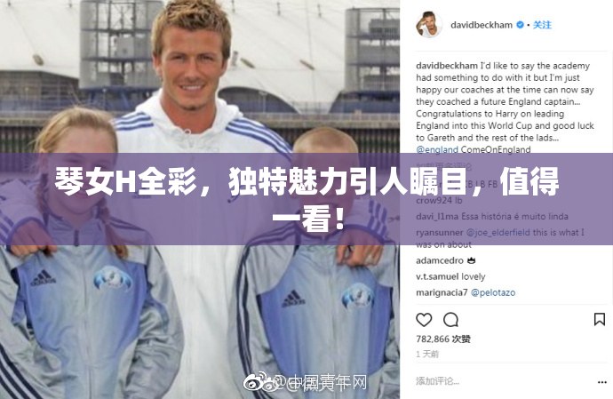 琴女H全彩，独特魅力引人瞩目，值得一看！