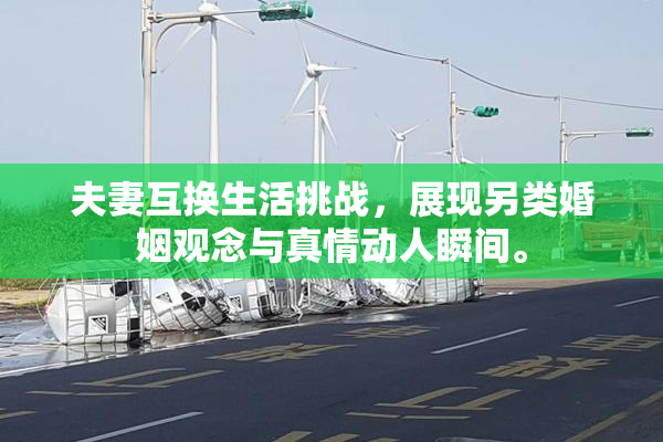 夫妻互换生活挑战，展现另类婚姻观念与真情动人瞬间。