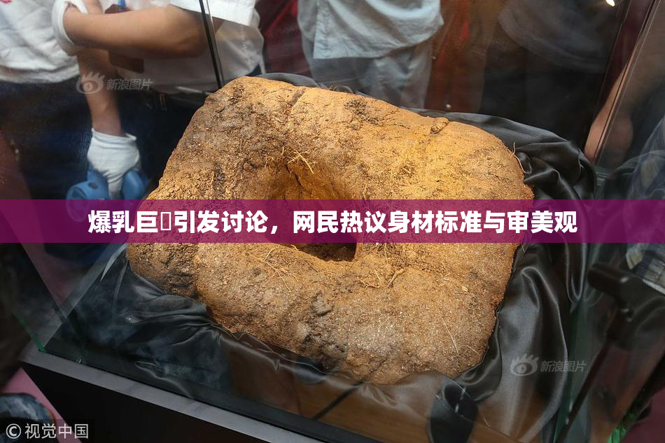 爆乳巨凥引发讨论，网民热议身材标准与审美观