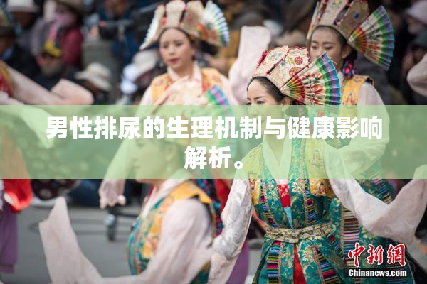 男性排尿的生理机制与健康影响解析。