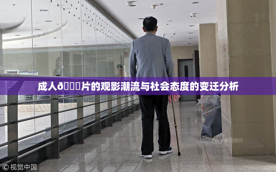 成人🔞片的观影潮流与社会态度的变迁分析
