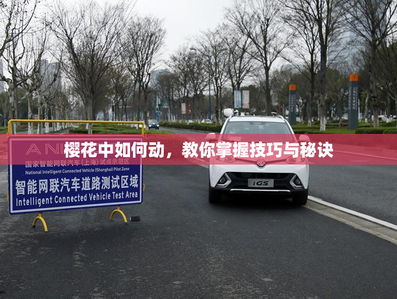 樱花中如何动，教你掌握技巧与秘诀