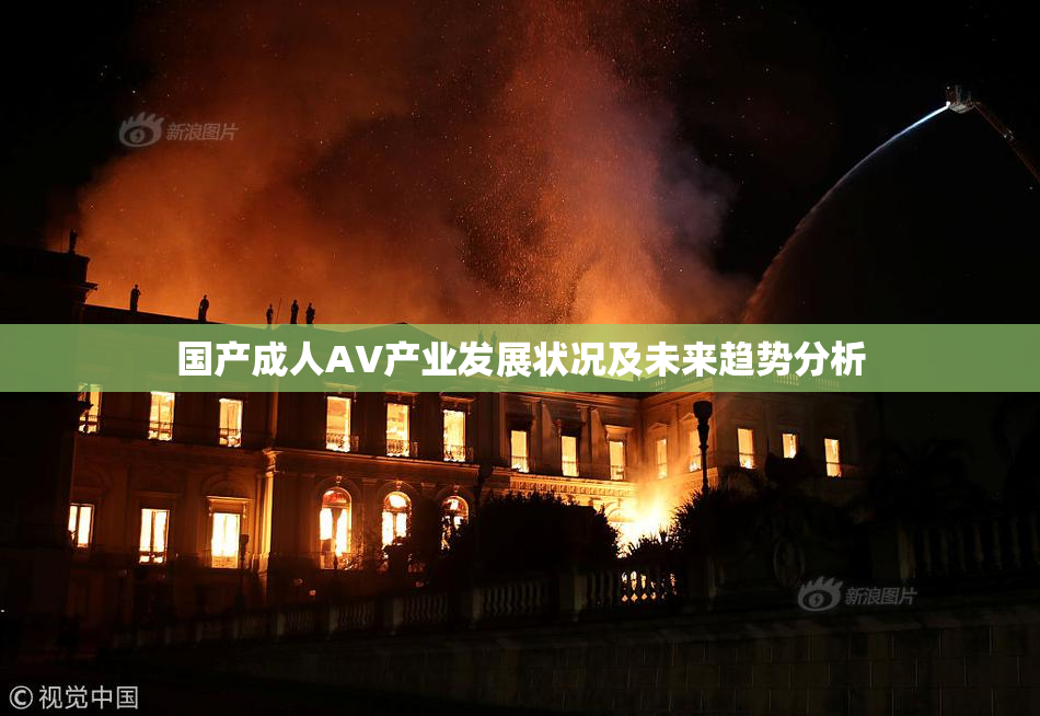 国产成人AV产业发展状况及未来趋势分析