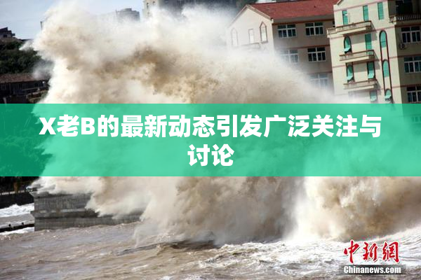 X老B的最新动态引发广泛关注与讨论