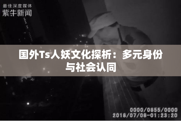 国外Ts人妖文化探析：多元身份与社会认同