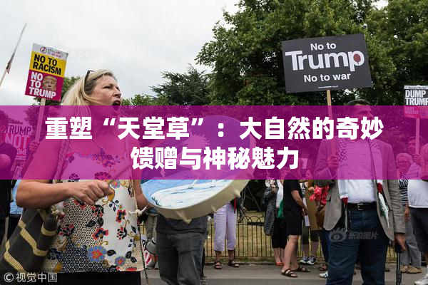 重塑“天堂草”：大自然的奇妙馈赠与神秘魅力
