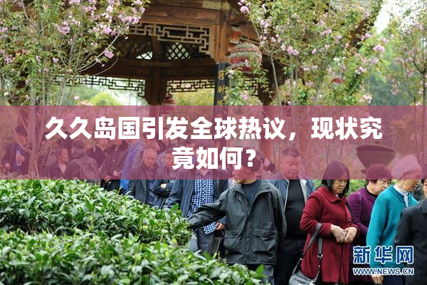 久久岛国引发全球热议，现状究竟如何？