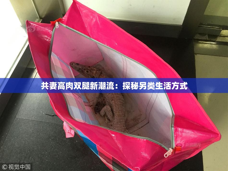 共妻高肉双腿新潮流：探秘另类生活方式