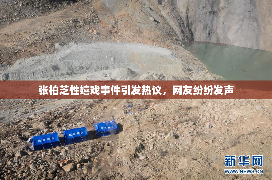 张柏芝性嬉戏事件引发热议，网友纷纷发声